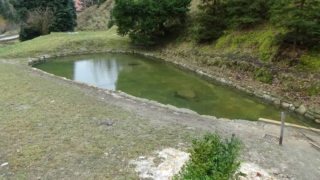 lac manastirea prislop