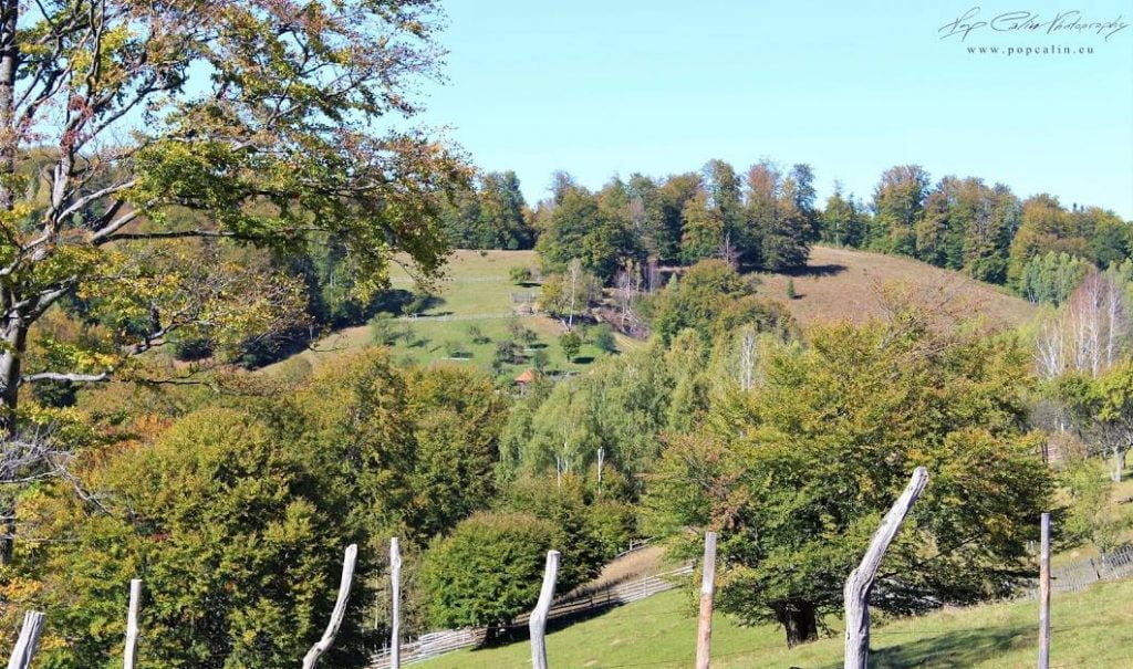 lunca ponoriciului din Parcul Natural Grădiștea Muncelului-Cioclovina 