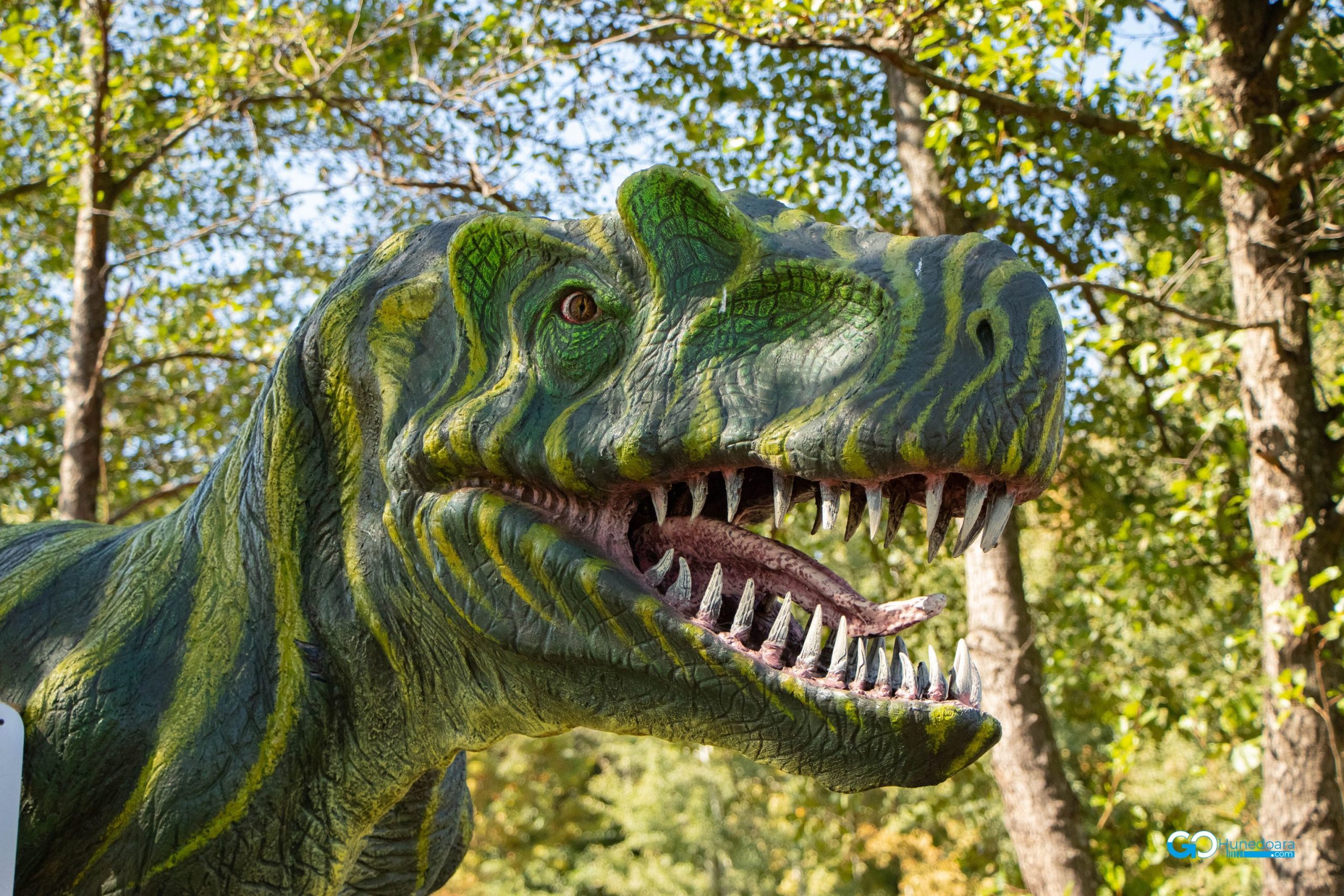 Dinosaur World Transylvania, un parc tematic complex, la poalele Retezatului