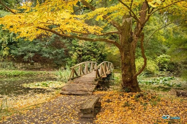 obiective turistice din judetul Hunedoara parcul dendrologic simeria