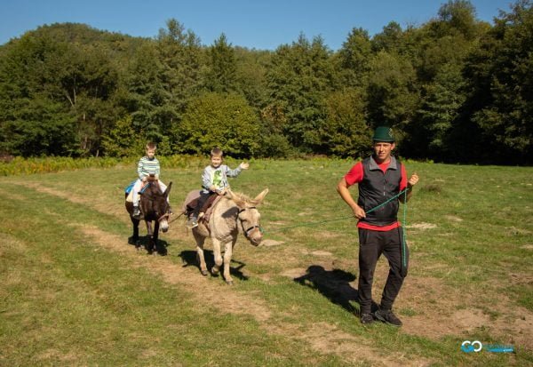 obiective turistice din judetul Hunedoara plimbare cu magarusul la dinosaur world transylvania