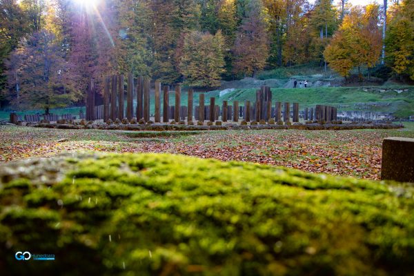 toamna la sarmizegetusa regia