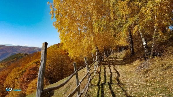 obiective turistice din judetul Hunedoara toamna la poiana omului tarsa