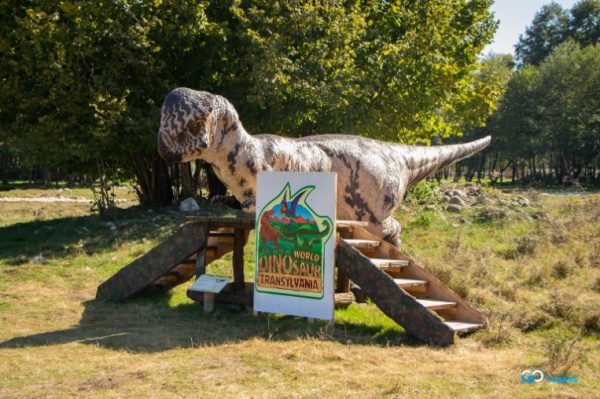 dinosaur world transylvania un important obiectiv turistic din tara hategului