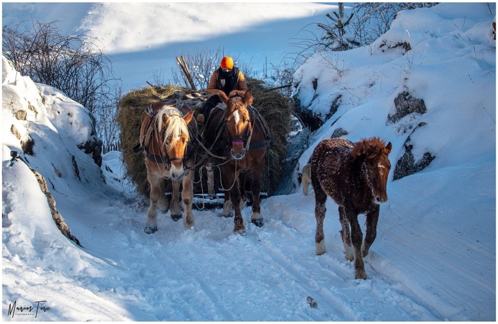 transport fan iarna la fundatura ponorului top obiective turistice județul hunedoara